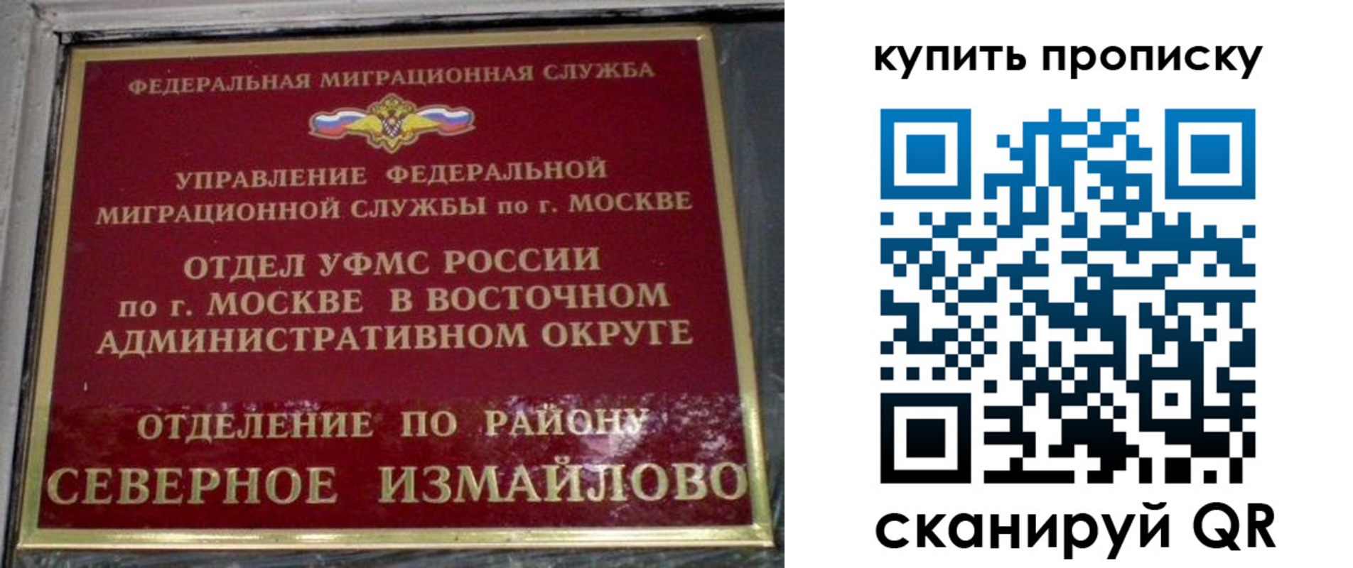 прописка в квартире в Курской области